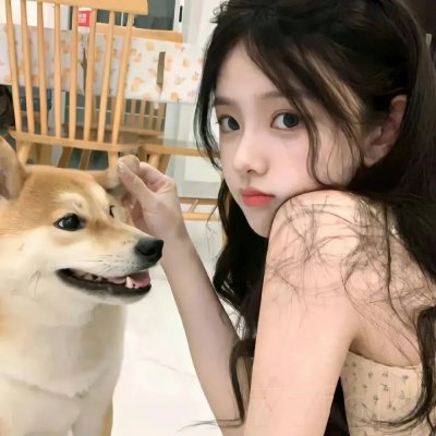 完美的主人